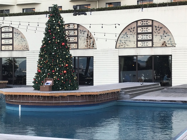 ザ・ルイガンズ　プールサイド　クリスマスツリー